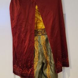 Disney Raya Halloween Costume 3-6t