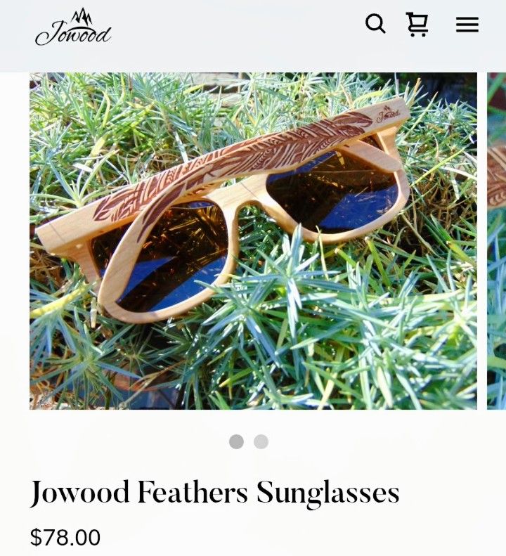 Wood Sunglasses