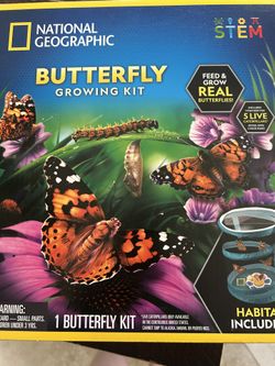 Butterfly Growing Kit
