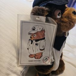 Timid Timothy 00 Sandlot Cubs Collectable Baseball Bear