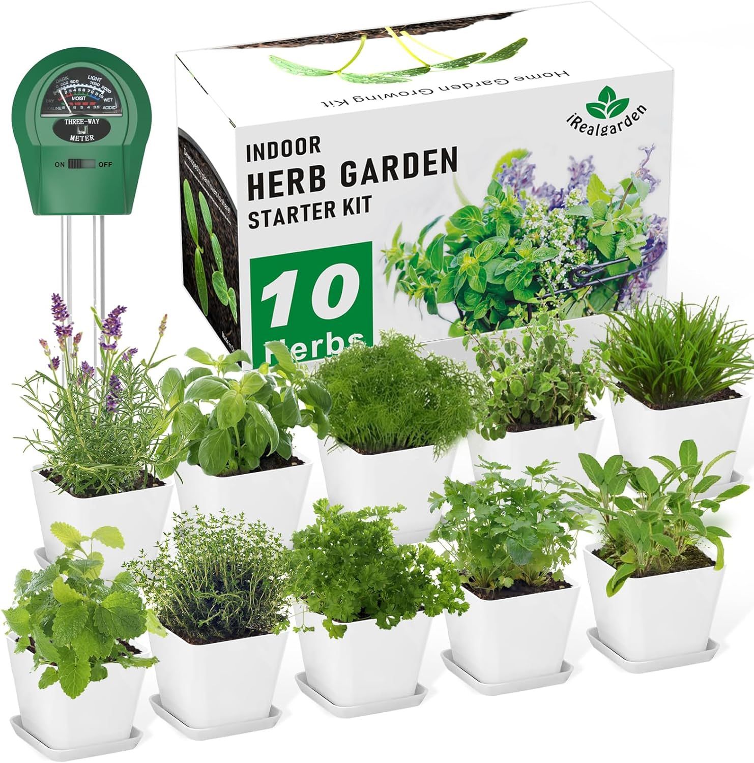 Herb Garden Kit Indoor Herb Garden Starter Kit