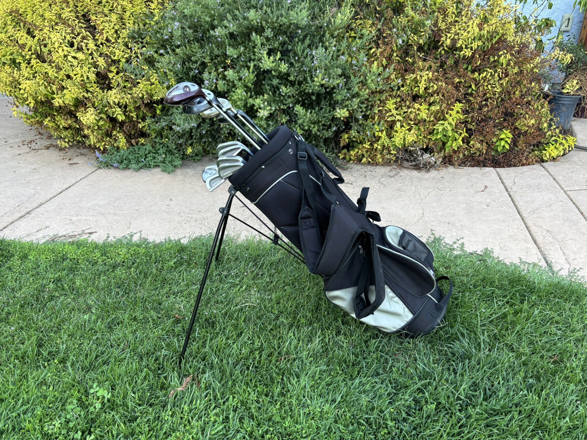Women’s Lady Cobra Baffler Golf Set (Driver+3w+5w+5/6 Hybrid+6i-pw+sw+putter+stand-up bag)