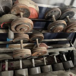 Workout Equipment 