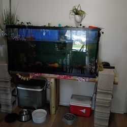75 Gallon Fish Tank Aquarium 