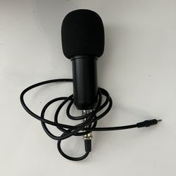 Microphone 
