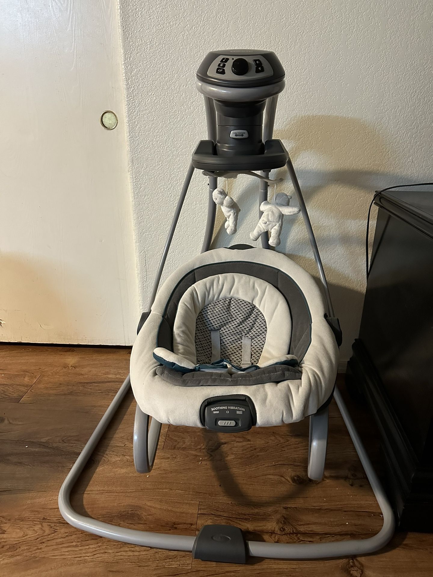 Graco Swing