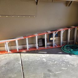 Werner 10 Ft Ladder 