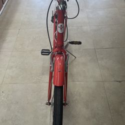 Tuesday morning beach cruiser bicycle ( Hablamos Espanol )