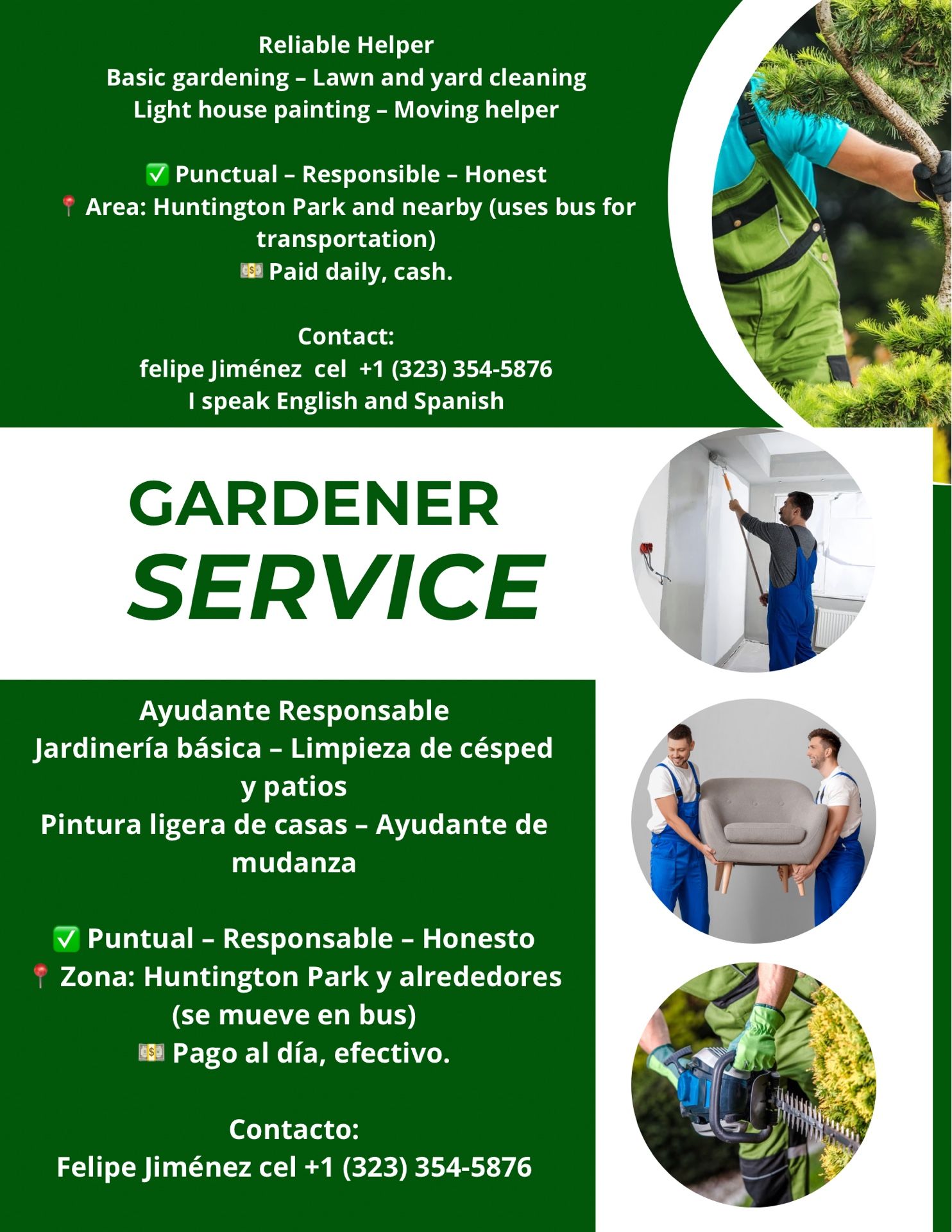 gardener cleaning painting