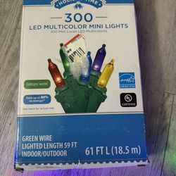 Two - 61 FT  LED Multicolor Mini Lights