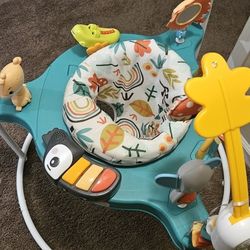 fisher price bouncer