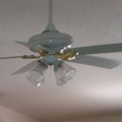 Hampton Bay - Ceiling Fan Lighting
