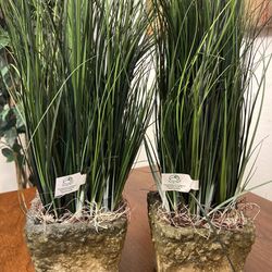 Plants 16” Tall Green Sea Grass in Planters (Set of 2) NEW