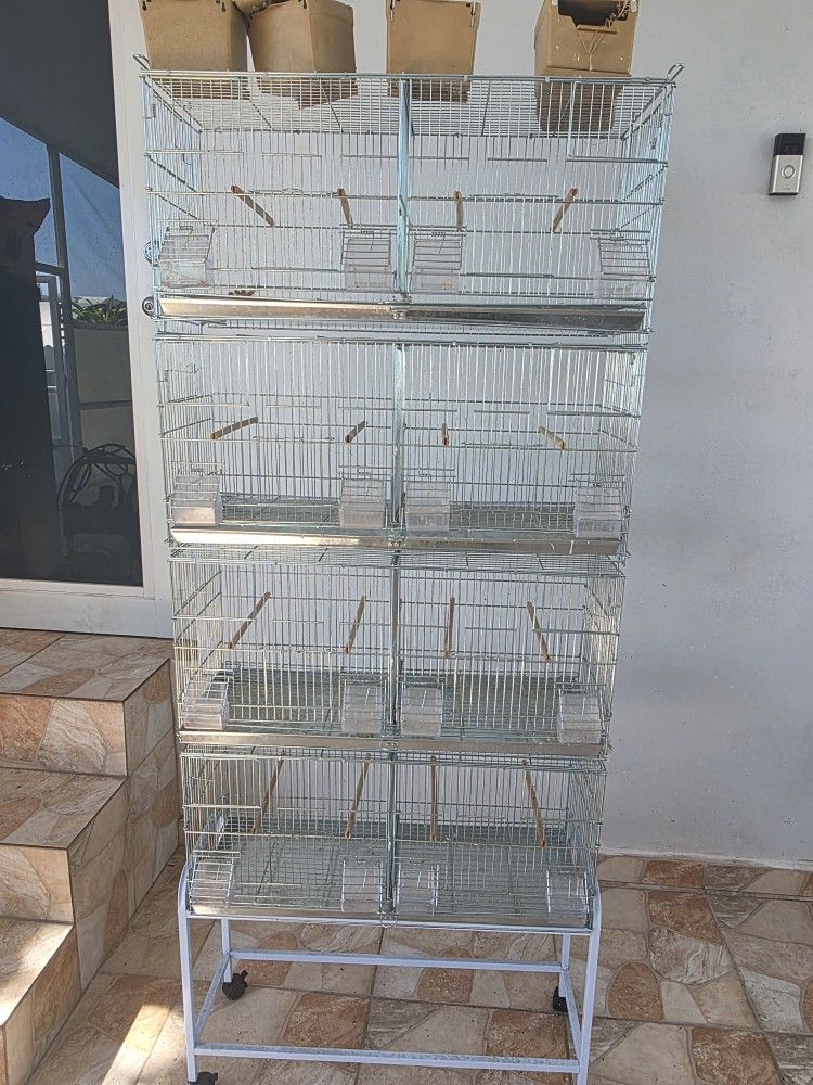 Bird Cage