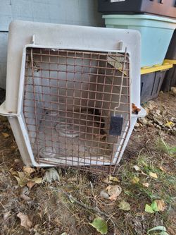 Large Hard-Shell Pet Travel Crate
