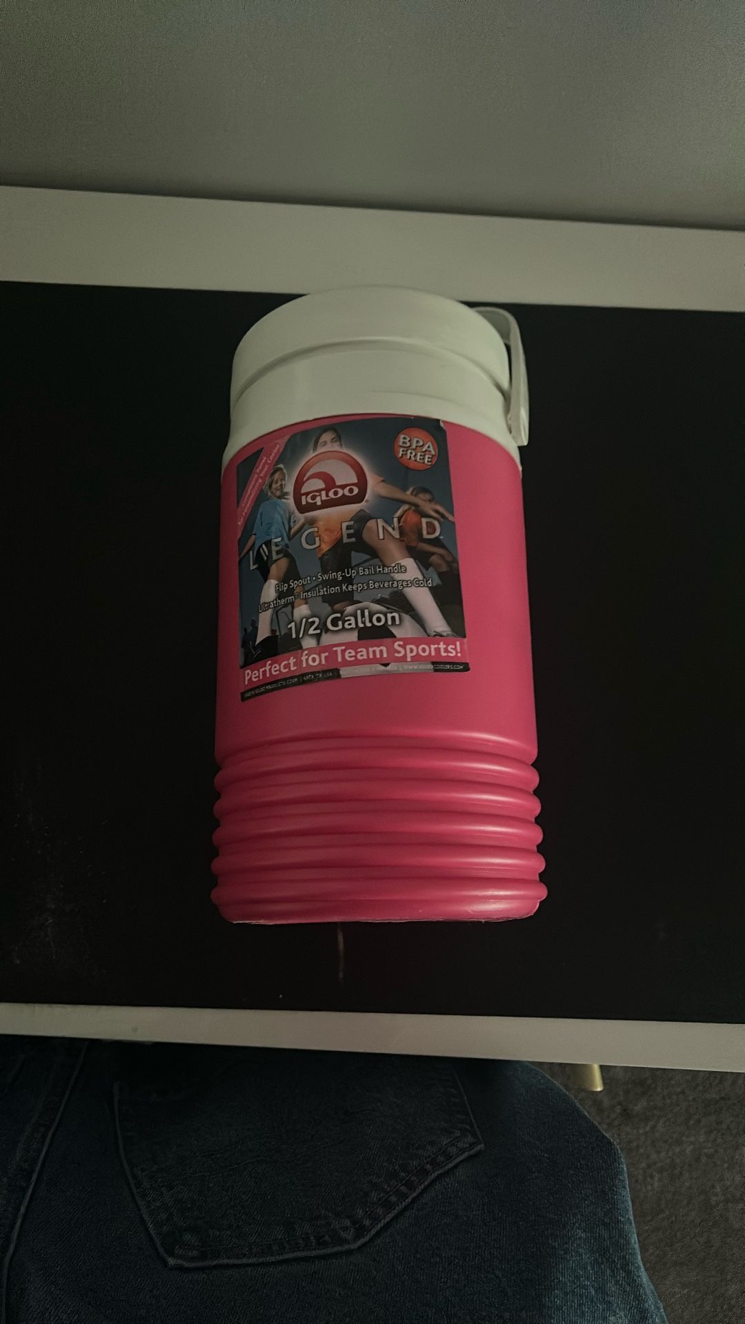 Igloo Beverage Cooler (pink)