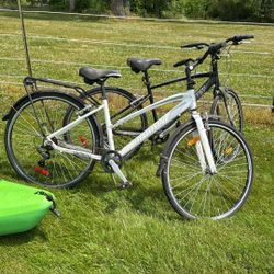 Two Costco Bikes
