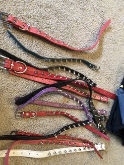 Dog collars/sold separate