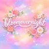 Bloomovernight 🌻
