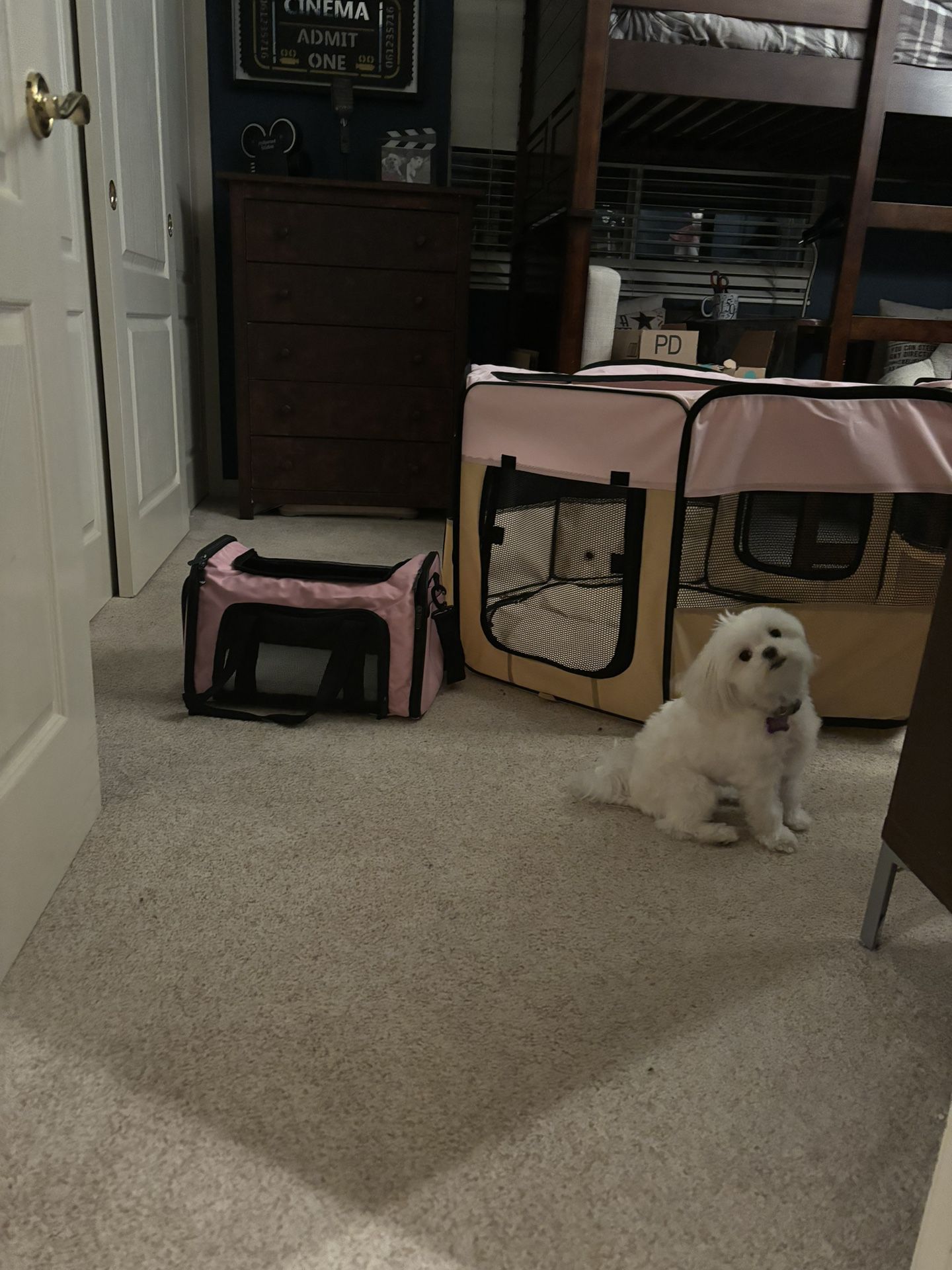 Puppy carrier and playpen 