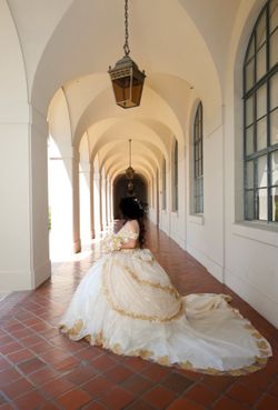 Quinceanera dress sweet 16