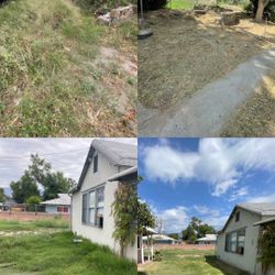 🚨 Yard Clean Up