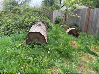 Free firewood