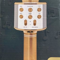 Karaoke Mic