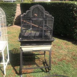 Bird Cage