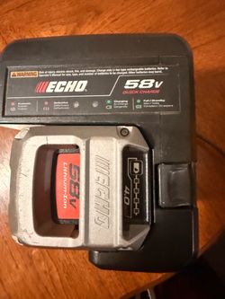 Echo 58v battery/charger
