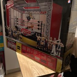 Official Scale The Hell In A Cell 