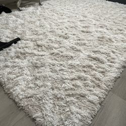 Area Rugs (2) + BISSELL Little Green Carpet Cleaner – Bundle Sale (Great Condition)