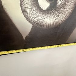 Boho-Elephant Wall Art