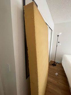twin size