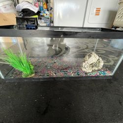 20 Gallon Fish Tank 