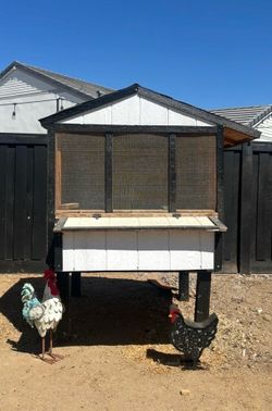 Chicken Coop