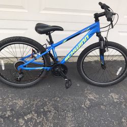 Schwinn thrasher kickstand cheap