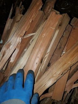 FIREWOOD OUTSIDE PARTIES.. BIG BLACK SIZE BAG FULL..10 DOLLARS ALL...PICK UP IN BLOOMINGTON..CHECK OUT MY PAGE FOR MORE ✔️ ✅️..SE HABLA ESPANOL..