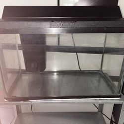 Fish Tank 