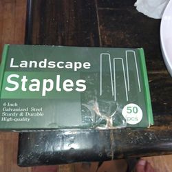 Landscape Staples Box Set 50