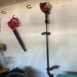 Plug in leaf blower and weed eater $80 both $40 each