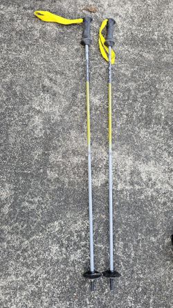 Ski Poles
