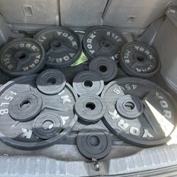 OYMPIC WEIGHTS 255 lbs 