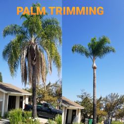 Stump grinding messge, tree messge