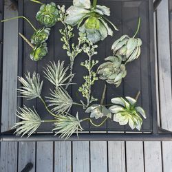 Faux Succulents