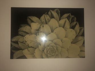 Heavy Beautiful Painting