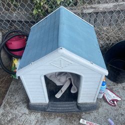 Dog House 