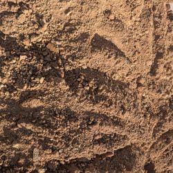 Free Clean Fill Dirt 