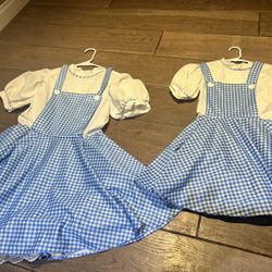 Dorothy Costume