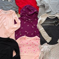 Little Girl Clothes Size 6 Longsleeve Shirt Bundle (10pcs)
